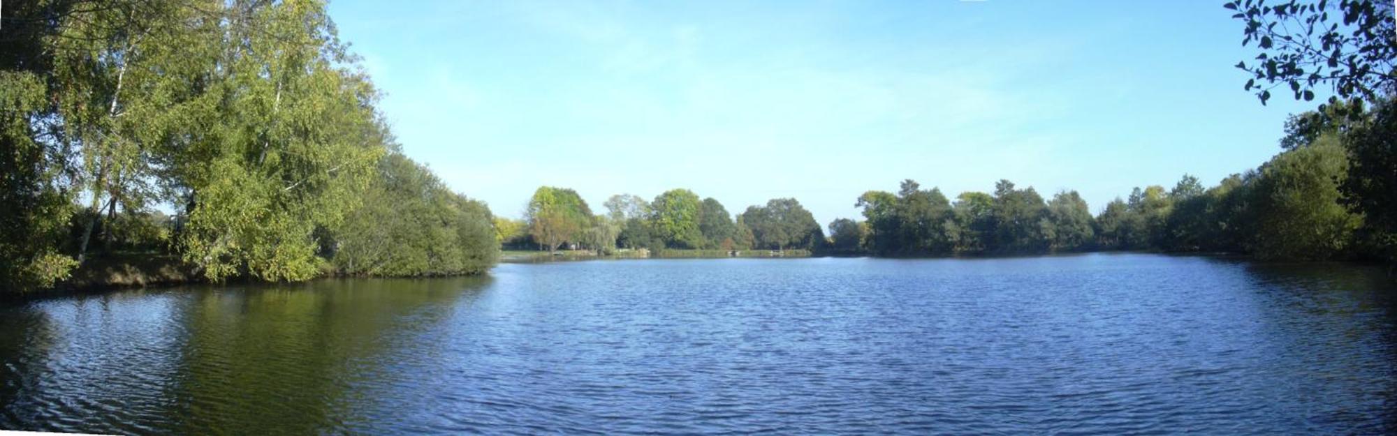Gite De L'Etang - Parc Des Volcans D'Auvergne Loubeyrat Eksteriør billede